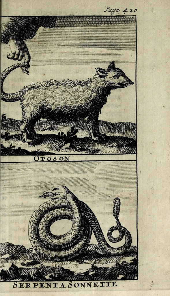 An illustration from Memoires et observations faites par un voyageur en Angleterre : sur ce qu'il y a trouvé de plus remarquable, tant à l'égard de la religion, que de la politique, des moeurs, des curiositez naturelles, & quantité de faits historiques, avec une description particuliere de ce qu'il y a de plus curieux dans Londres, le tout enrichi de figures, 1698, leaf 471