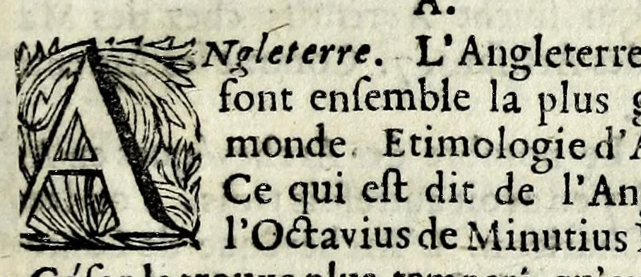 An illustration from Memoires et observations faites par un voyageur en Angleterre : sur ce qu'il y a trouvé de plus remarquable, tant à l'égard de la religion, que de la politique, des moeurs, des curiositez naturelles, & quantité de faits historiques, avec une description particuliere de ce qu'il y a de plus curieux dans Londres, le tout enrichi de figures, 1698, leaf 475