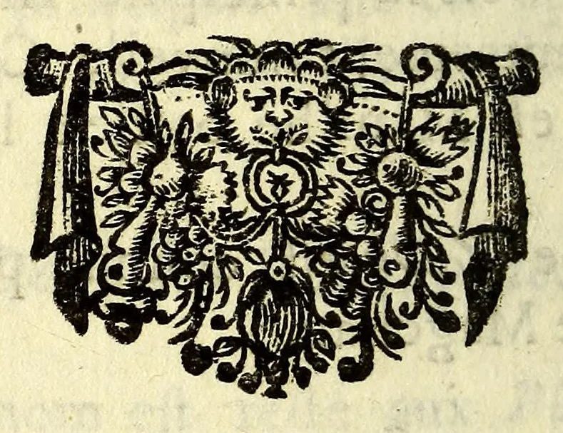 An illustration from Memoires geographiques de tous les pays du monde; : avec plusieurs observations historiques., 1674, leaf 224