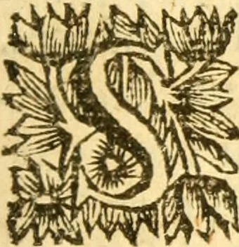 An illustration from Memoires, historiques & geographiques du royaume de la Moree, Negrepont, & des places maritimes, jusques à Thessalonique, 1686, leaf 14
