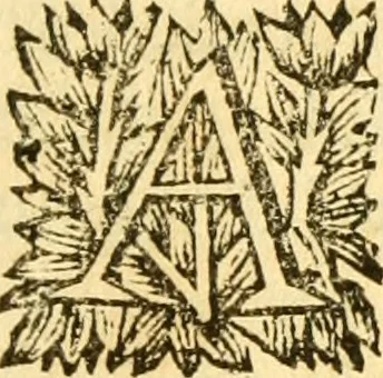 An illustration from Memoires, historiques & geographiques du royaume de la Moree, Negrepont, & des places maritimes, jusques à Thessalonique, 1686, leaf 46