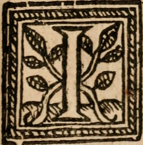 An illustration from The memoires of the Duke of Rohan : or, A faithful relation of the most remarkable occurrences in France, especially concerning those of the reformed churches there. From the death of Henry the Great, untill the peace made with them, in June, 1629 ; Together with divers politick discourses upon several occasions. Written originally in French, 1660, leaf 258