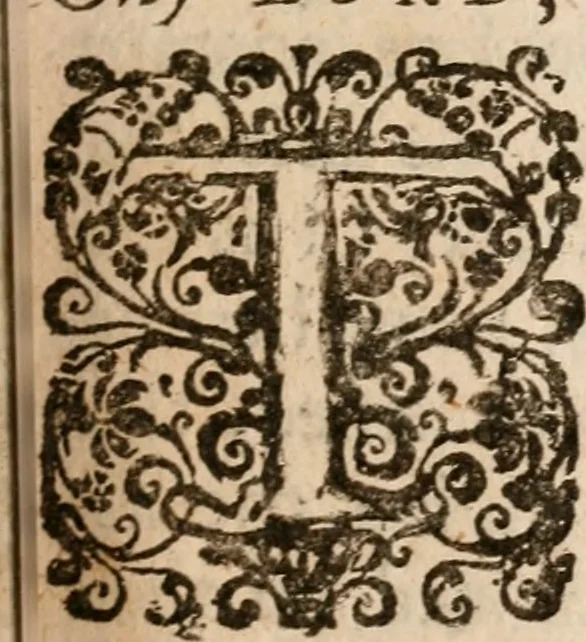 An illustration from The memoires of the Duke of Rohan : or, A faithful relation of the most remarkable occurrences in France, especially concerning those of the reformed churches there. From the death of Henry the Great, untill the peace made with them, in June, 1629 ; Together with divers politick discourses upon several occasions. Written originally in French, 1660, leaf 8