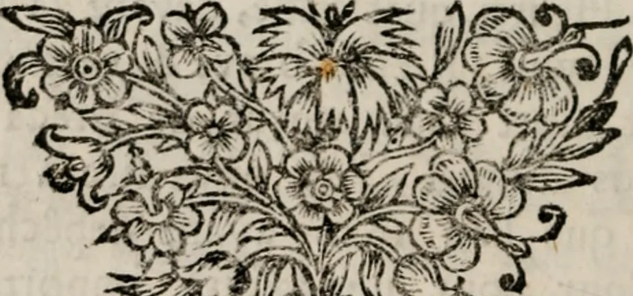 An illustration from Memoires, pour servir a l'histoire de Hollande & des autres provinces-unies .., 1680, leaf 203