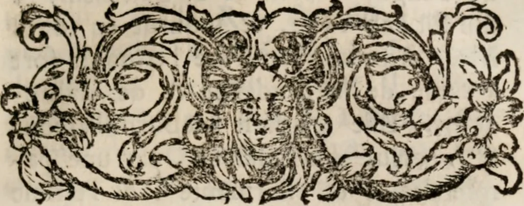 An illustration from Memoires, pour servir a l'histoire de Hollande & des autres provinces-unies .., 1680, leaf 204