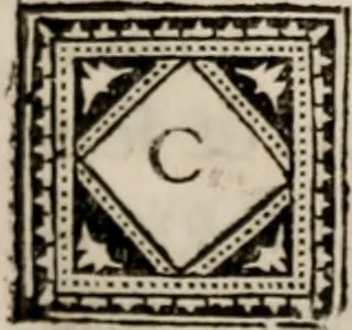An illustration from Memoires, pour servir a l'histoire de Hollande & des autres provinces-unies .., 1680, leaf 204