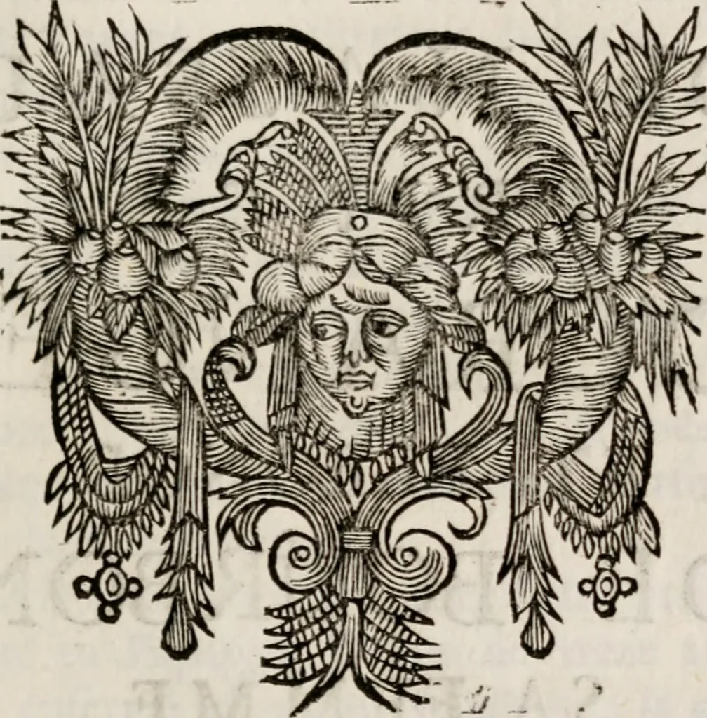 An illustration from Memoires, pour servir a l'histoire de Hollande & des autres provinces-unies .., 1680, leaf 228