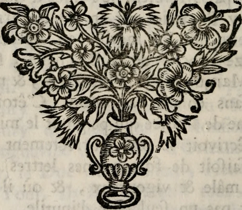 An illustration from Memoires, pour servir a l'histoire de Hollande & des autres provinces-unies .., 1680, leaf 241