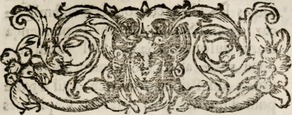 An illustration from Memoires, pour servir a l'histoire de Hollande & des autres provinces-unies .., 1680, leaf 242