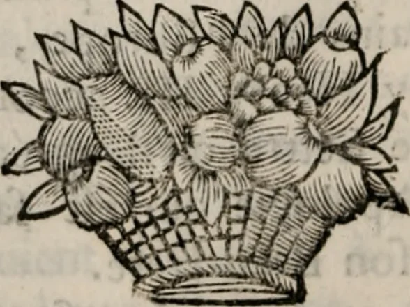 An illustration from Memoires, pour servir a l'histoire de Hollande & des autres provinces-unies .., 1680, leaf 27