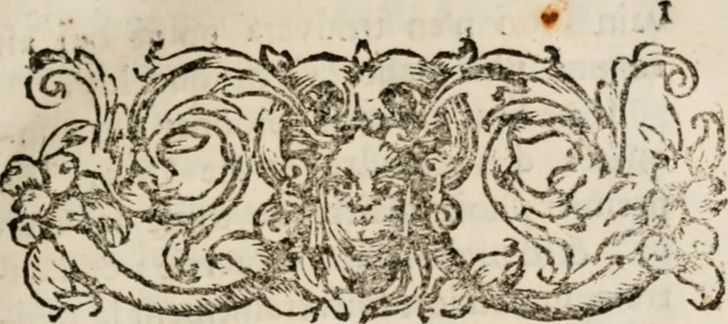 An illustration from Memoires, pour servir a l'histoire de Hollande & des autres provinces-unies .., 1680, leaf 28