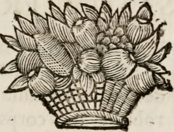 An illustration from Memoires, pour servir a l'histoire de Hollande & des autres provinces-unies .., 1680, leaf 324