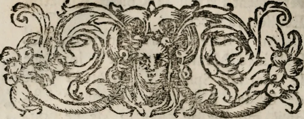 An illustration from Memoires, pour servir a l'histoire de Hollande & des autres provinces-unies .., 1680, leaf 325
