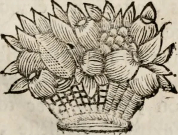 An illustration from Memoires, pour servir a l'histoire de Hollande & des autres provinces-unies .., 1680, leaf 358