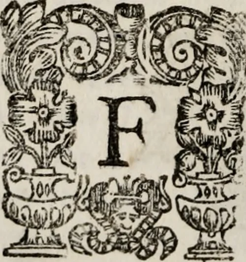 An illustration from Memoires, pour servir a l'histoire de Hollande & des autres provinces-unies .., 1680, leaf 403
