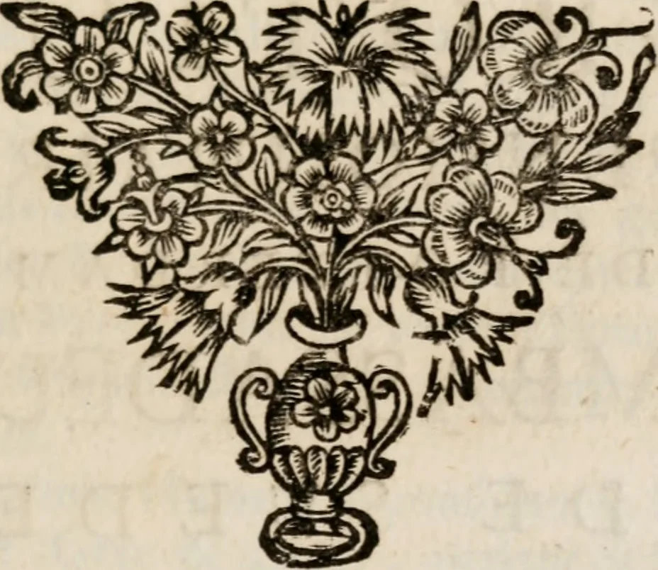 An illustration from Memoires, pour servir a l'histoire de Hollande & des autres provinces-unies .., 1680, leaf 418