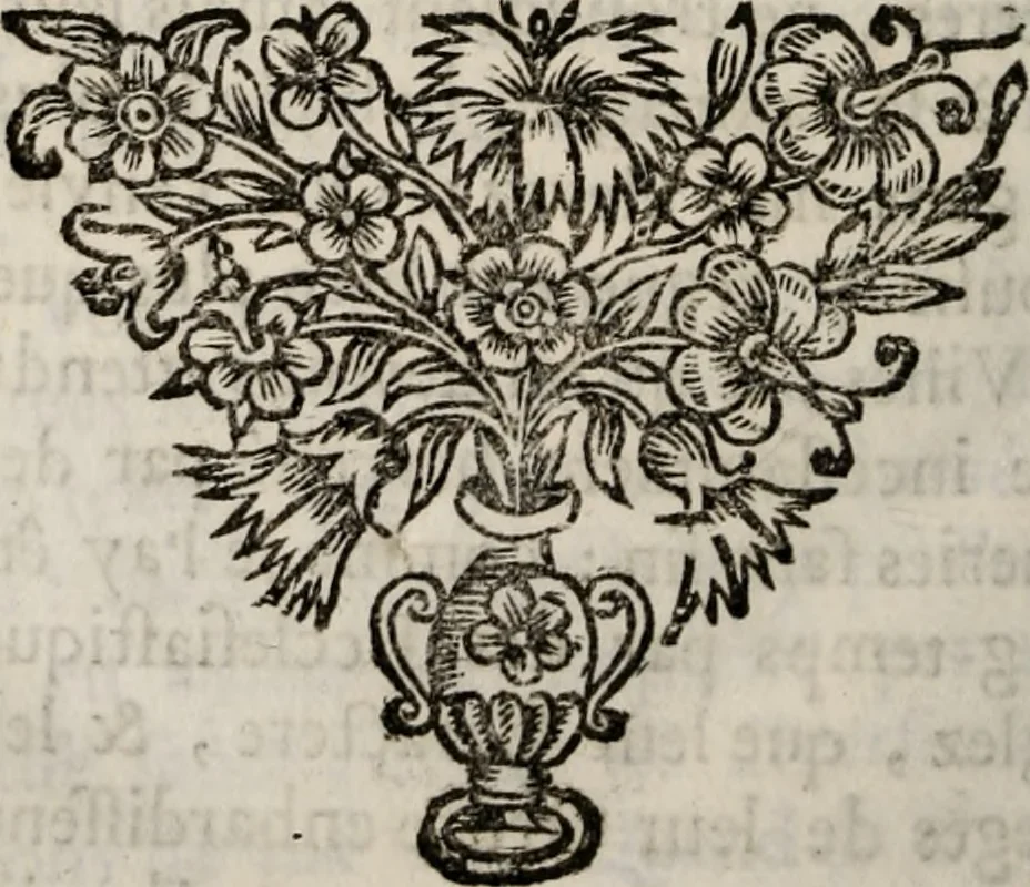 An illustration from Memoires, pour servir a l'histoire de Hollande & des autres provinces-unies .., 1680, leaf 463