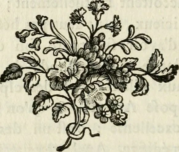 An illustration from Mémoires sur les objets les plus importans de l'architecture, 1769, leaf 235