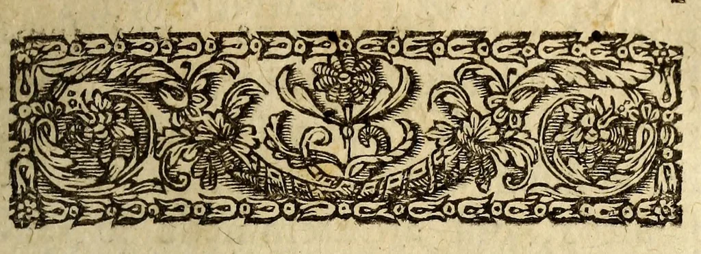 An illustration from Memoires touchant l'etablissement d'une mission chrestienne dans le troisieme monde, autrement appellé, la Terre Australe, Meridionale, Antartique,& Inconnuë. : Dediez á Nostre S. Pere le pape Alexandre VII. ., 1664, leaf 43