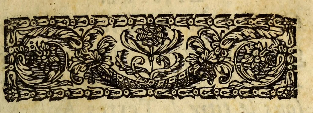 An illustration from Memoires touchant l'etablissement d'une mission chrestienne dans le troisieme monde, autrement appellé, la Terre Australe, Meridionale, Antartique,& Inconnuë. : Dediez á Nostre S. Pere le pape Alexandre VII. ., 1664, leaf 9
