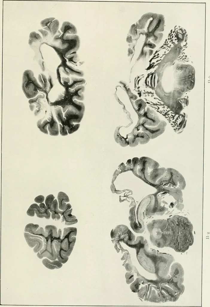 An illustration from Memoirs, 1783, leaf 154