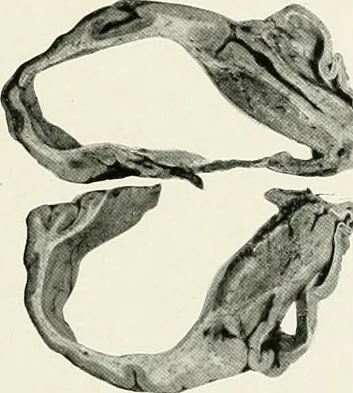 An illustration from Memoirs, 1783, leaf 280