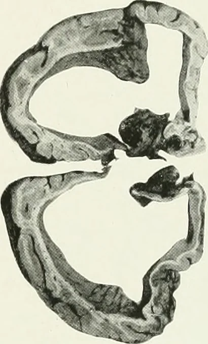 An illustration from Memoirs, 1783, leaf 280