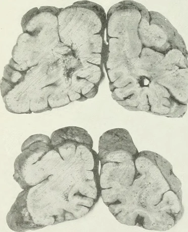 An illustration from Memoirs, 1783, leaf 302