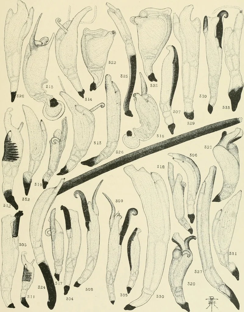 An illustration from Memoirs, 1783, leaf 600