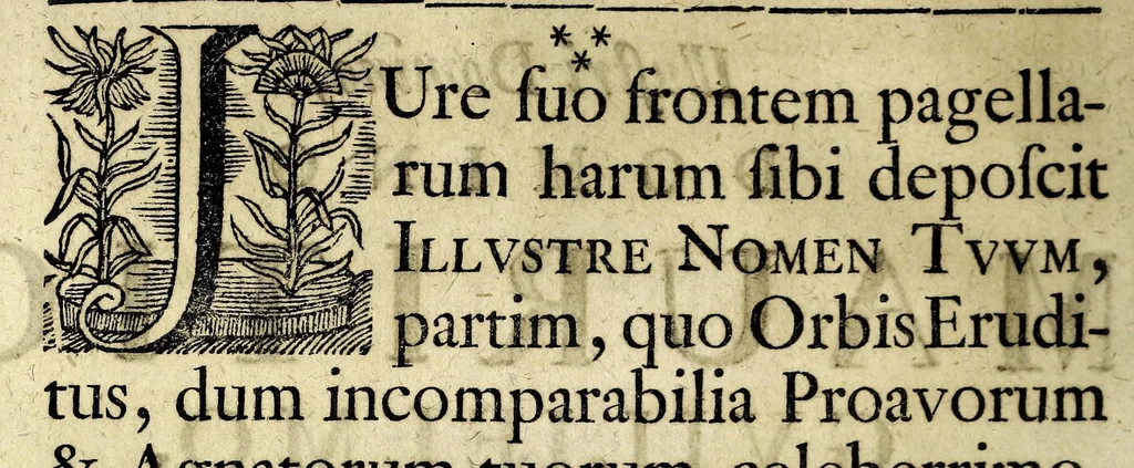 An illustration from Memorabilia Bibliothecae publicae Elisabetanae Wratislaviensis : à fundatore celeberrimo Rehdigerianae dictae, quae A. O. R. M.DC.XCIIX. die xv Maji, in actu gymnastico à studiosa Gymnasii Elisabetani juventute, 1699, leaf 14