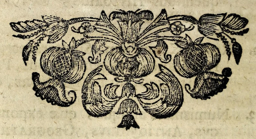 An illustration from Memorabilia Bibliothecae publicae Elisabetanae Wratislaviensis : à fundatore celeberrimo Rehdigerianae dictae, quae A. O. R. M.DC.XCIIX. die xv Maji, in actu gymnastico à studiosa Gymnasii Elisabetani juventute, 1699, leaf 34