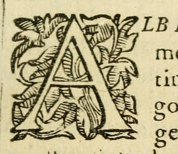 An illustration from Memorable expulsión, y justissimo destierro de los Moriscos de Espana, 1613, leaf 355