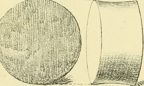An illustration from Memorandum on clay discs called "Spindle Whorls" and Votive Seals found at Sankisa, Behar, and other Buddhist ruins in the North Western provinces of India, 1880, leaf 22
