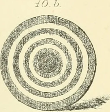 An illustration from Memorandum on clay discs called "Spindle Whorls" and Votive Seals found at Sankisa, Behar, and other Buddhist ruins in the North Western provinces of India, 1880, leaf 24