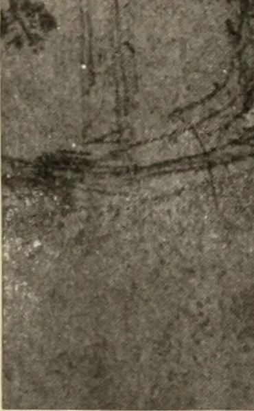 An illustration from Memorial exhibition of the works of the late J. McNeill Whistler, first president of the International Society of Sculptors, Painters, and Gravers, in the New Gallery, Regent Street, London, from the twenty-second of February to the thirty-first of March, 1905, leaf 142