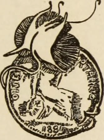 An illustration from Memorial exhibition of the works of the late J. McNeill Whistler, first president of the International Society of Sculptors, Painters, and Gravers, in the New Gallery, Regent Street, London, from the twenty-second of February to the thirty-first of March, 1905, leaf 270