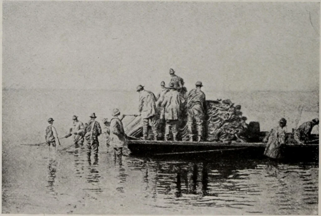 An illustration from Memorial exhibition of the works of the late Thomas Eakins, beginning December 23, 1917 and continuing through January 13, 1918, 1918, leaf 81