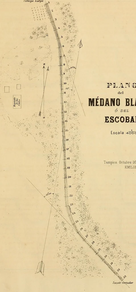 An illustration from Memoria presentada al Congreso de la Union por el Secretario de Estado y del Despacho de Fomento, Colonización, Industria y Comercio de la Repúbica Mexicana, Vicente Riva Palacio, 1877, leaf 371