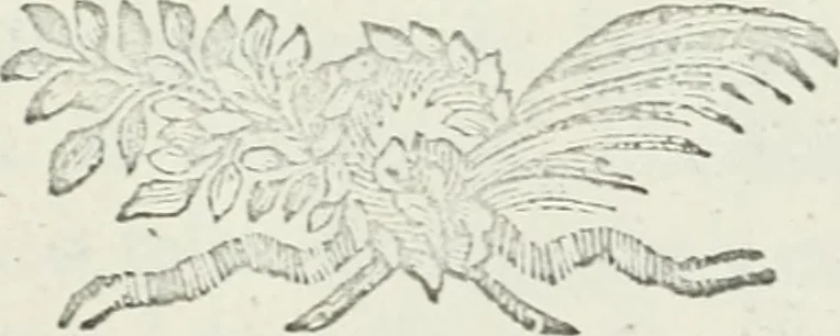 An illustration from Memorias sobre la granza, ò rubia, y su cultivo; con la descripción de los molinos para reducirla a polvo. Traducidas del francès de orden de la Real Junta General de Comercio, 1763, leaf 6