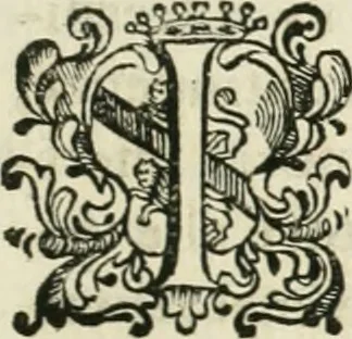 An illustration from Memorie del calcio fiorentino : tratte da diverse scritture e dedicate all' Altezze Serenissime di Ferdinando principe di Toscana e Violante Beatrice di Baviera, 1688, leaf 10
