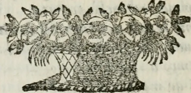 An illustration from Memorie del calcio fiorentino : tratte da diverse scritture e dedicate all' Altezze Serenissime di Ferdinando principe di Toscana e Violante Beatrice di Baviera, 1688, leaf 95