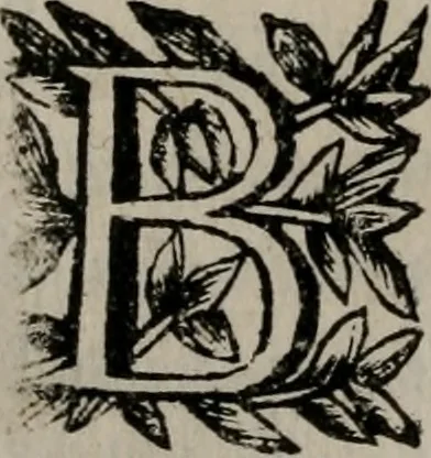 An illustration from Memorie, imprese, e ritratti de' signori Accademici Gelati de Bologna, 1672, leaf 105
