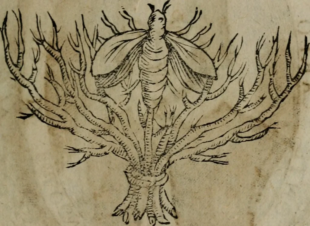 An illustration from Memorie, imprese, e ritratti de' signori Accademici Gelati de Bologna, 1672, leaf 116