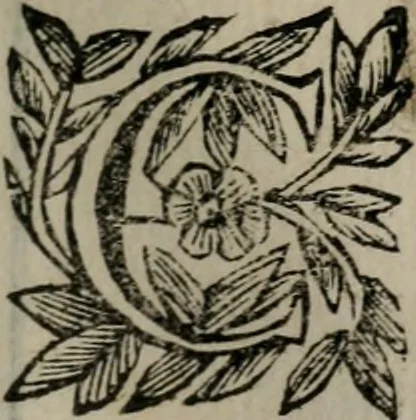 An illustration from Memorie, imprese, e ritratti de' signori Accademici Gelati de Bologna, 1672, leaf 132