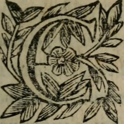 An illustration from Memorie, imprese, e ritratti de' signori Accademici Gelati de Bologna, 1672, leaf 140