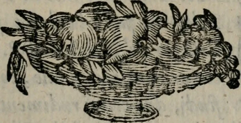 An illustration from Memorie, imprese, e ritratti de' signori Accademici Gelati de Bologna, 1672, leaf 166