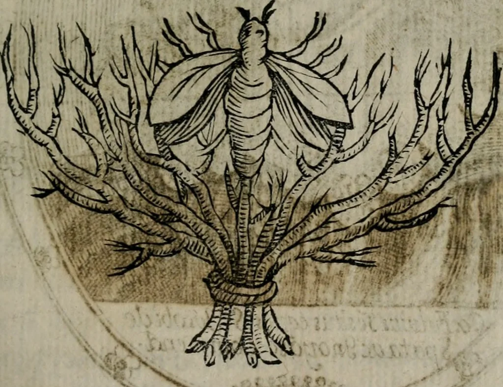 An illustration from Memorie, imprese, e ritratti de' signori Accademici Gelati de Bologna, 1672, leaf 172