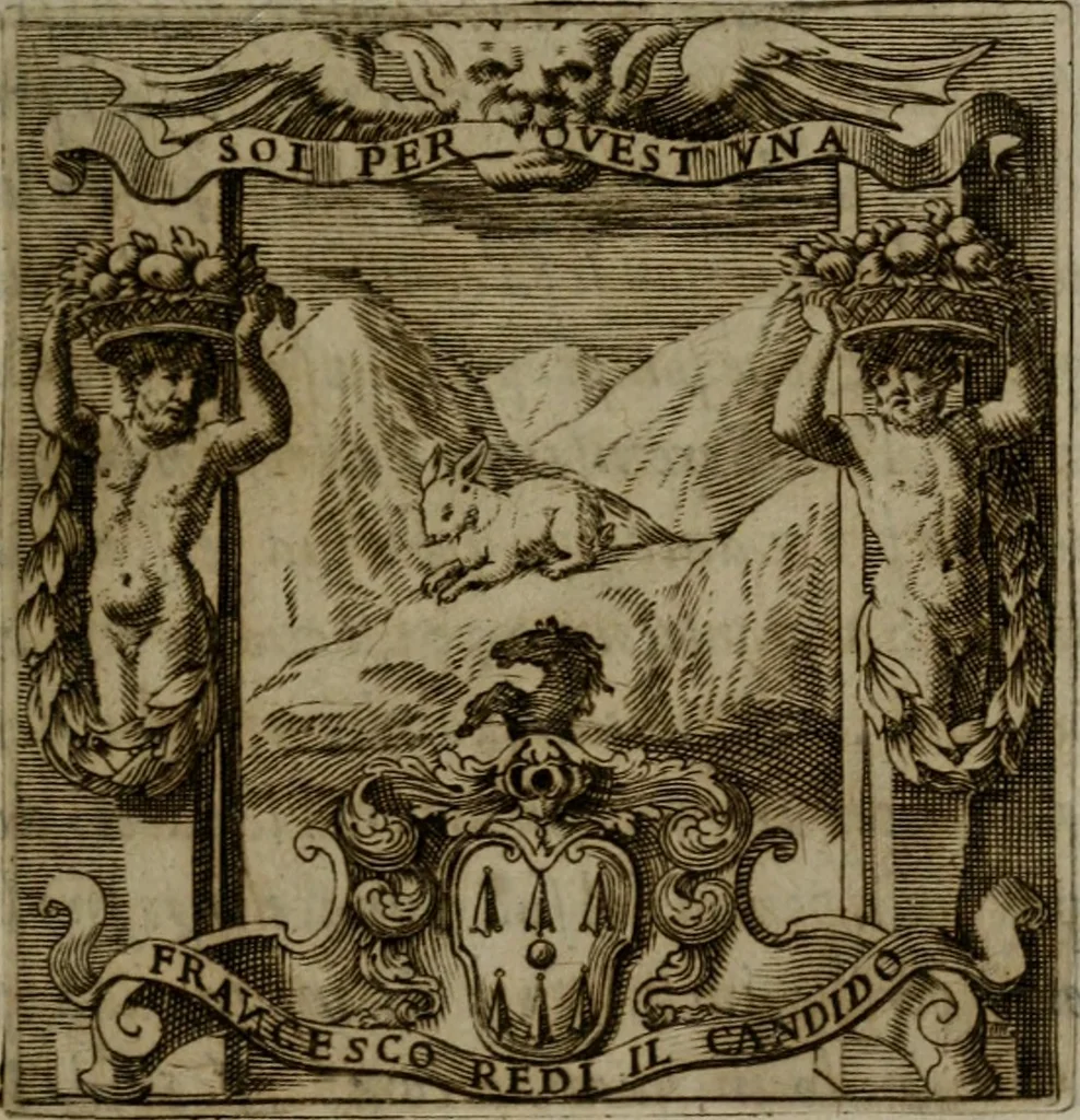 An illustration from Memorie, imprese, e ritratti de' signori Accademici Gelati de Bologna, 1672, leaf 200