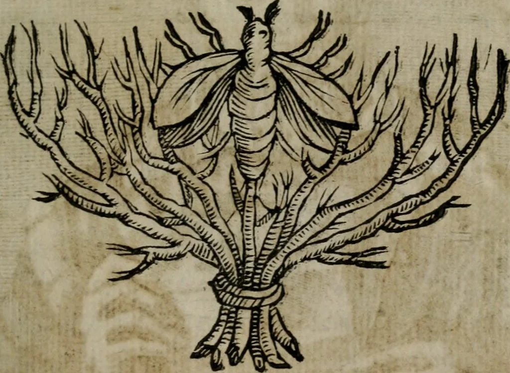 An illustration from Memorie, imprese, e ritratti de' signori Accademici Gelati de Bologna, 1672, leaf 212