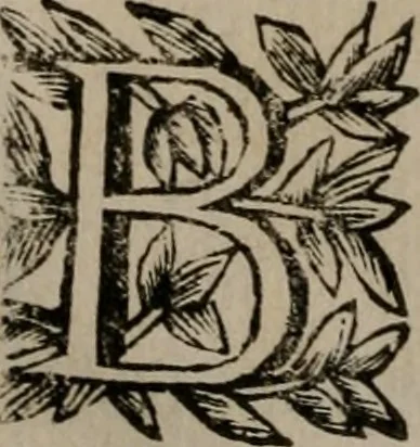 An illustration from Memorie, imprese, e ritratti de' signori Accademici Gelati de Bologna, 1672, leaf 219
